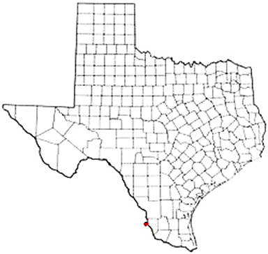 San Ygnacio Texas Apostille Document Services
