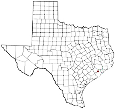 Sandy Texas Apostille Document Services