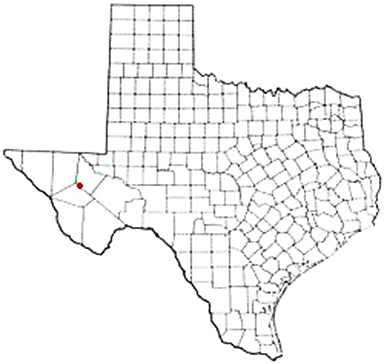 Saragosa Texas Apostille Document Services