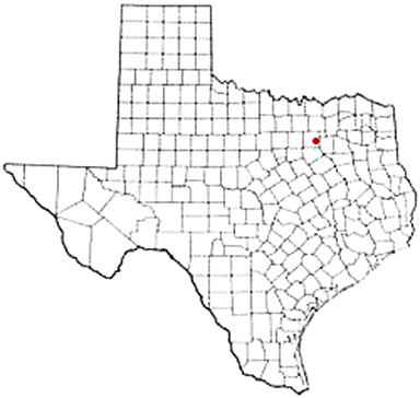 Seagoville Texas Apostille Document Services