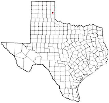 Shamrock Texas Apostille Document Services