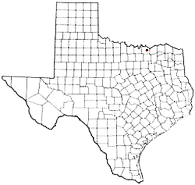 Sherman Texas Apostille Document Services