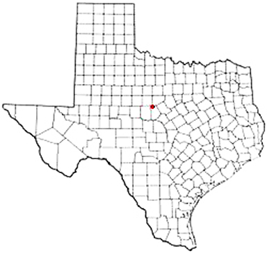 Sidney Texas Apostille Document Services