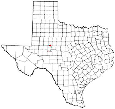 Silver Texas Apostille Document Services