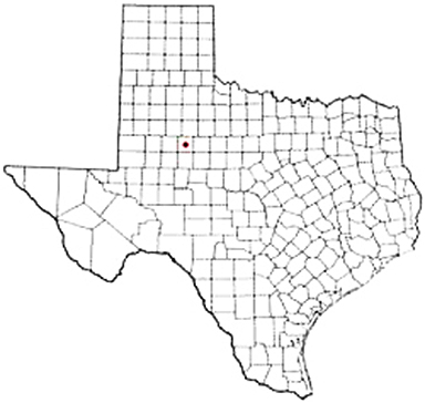 Snyder Texas Apostille Document Services