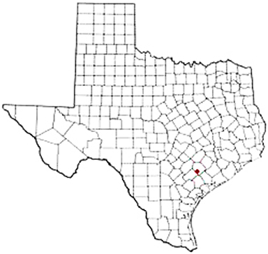 Speaks Texas Apostille Document Services