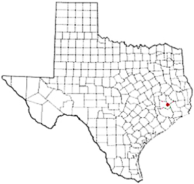 Splendora Texas Apostille Document Services