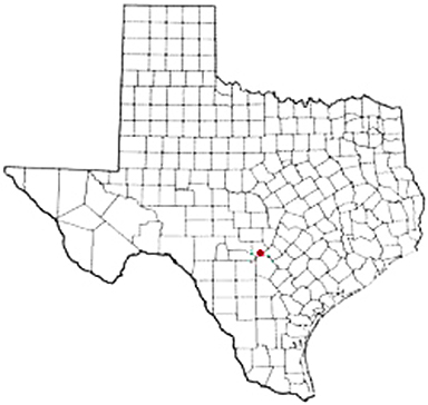 Spring Branch Texas Apostille Document Services