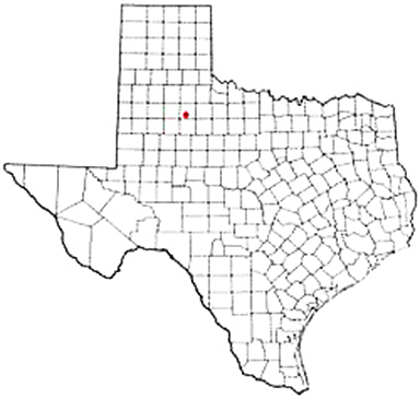 Spur Texas Apostille Document Services