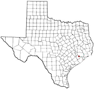 Stafford Texas Apostille Document Services