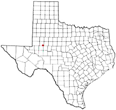 Stanton Texas Apostille Document Services