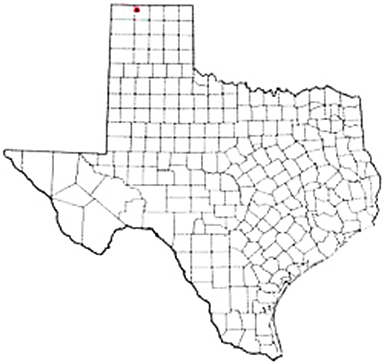 Stratford Texas Apostille Document Services