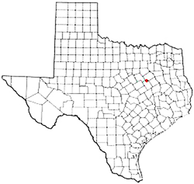 Streetman Texas Apostille Document Services