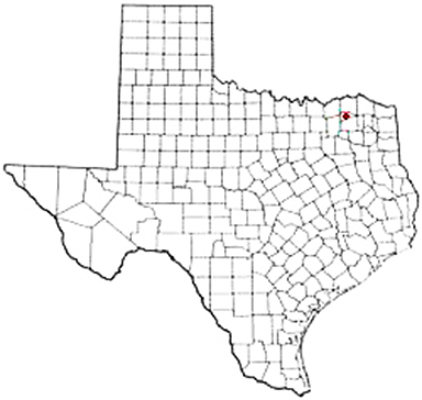 Sulphur Bluff Texas Apostille Document Services