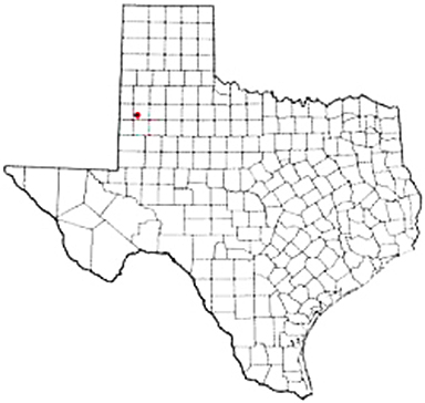 Sundown Texas Apostille Document Services