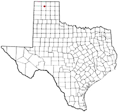 Sunray Texas Apostille Document Services