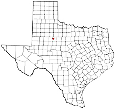Sylvester Texas Apostille Document Services