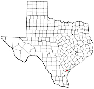 Taft Texas Apostille Document Services
