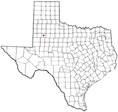 Tahoka Texas Apostille Document Services