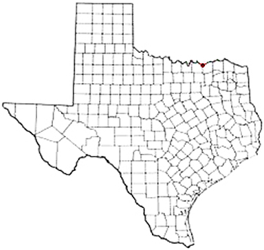 Telephone Texas Apostille Document Services
