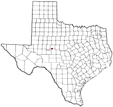Tennyson Texas Apostille Document Services
