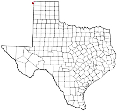 Texline Texas Apostille Document Services