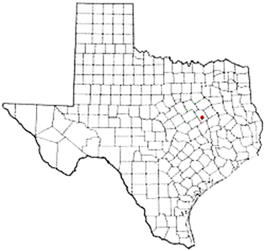 Thornton Texas Apostille Document Services