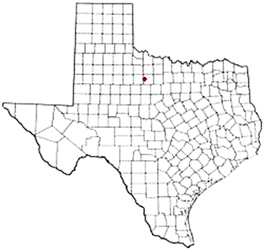 Throckmorton Texas Apostille Document Services