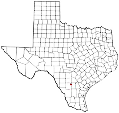 Tilden Texas Apostille Document Services