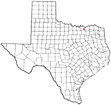 Tom Bean Texas Apostille Document Services