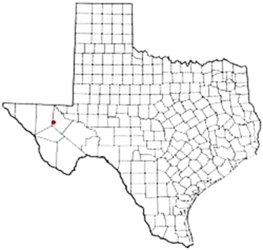 Toyah Texas Apostille Document Services