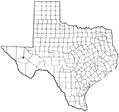 Toyahvale Texas Apostille Document Services