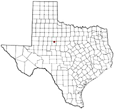 Trent Texas Apostille Document Services