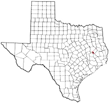 Trinity Texas Apostille Document Services