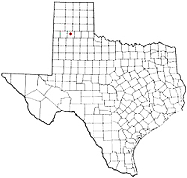 Tulia Texas Apostille Document Services