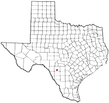 Uvalde Texas Apostille Document Services