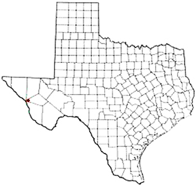Valentine Texas Apostille Document Services