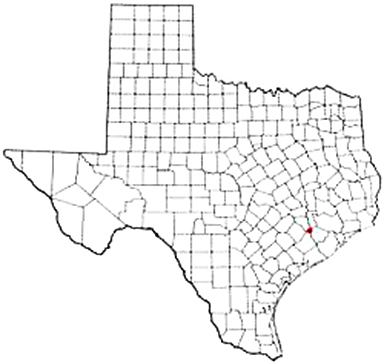 Wallis Texas Apostille Document Services