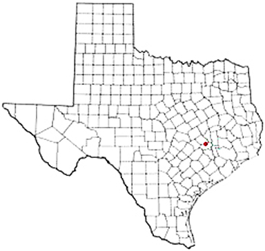 Washington Texas Apostille Document Services