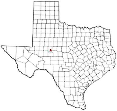 Water Valley Texas Apostille Document Services