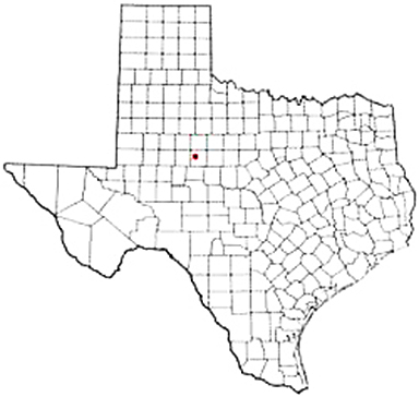 Westbrook Texas Apostille Document Services