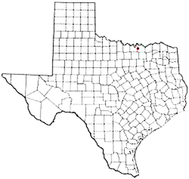 Whitesboro Texas Apostille Document Services