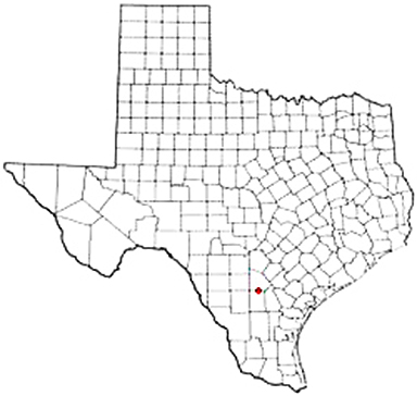 Whitsett Texas Apostille Document Services