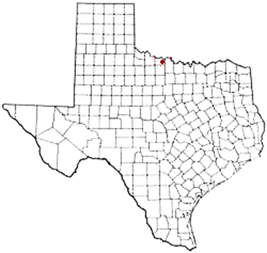 Wichita Falls Texas Apostille Document Services