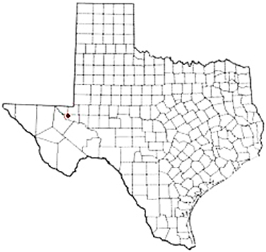 Wickett Texas Apostille Document Services