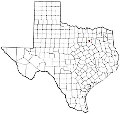 Wilmer Texas Apostille Document Services
