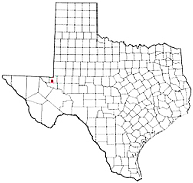 Wink Texas Apostille Document Services