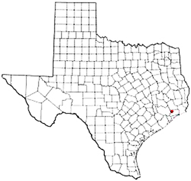 Winnie Texas Apostille Document Services
