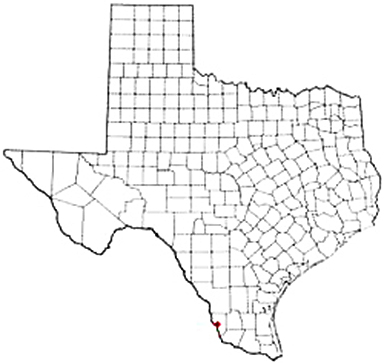 Zapata Texas Apostille Document Services