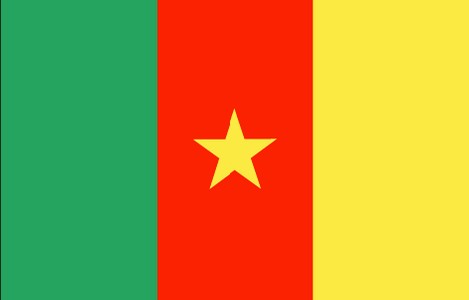 Cameroon Flag